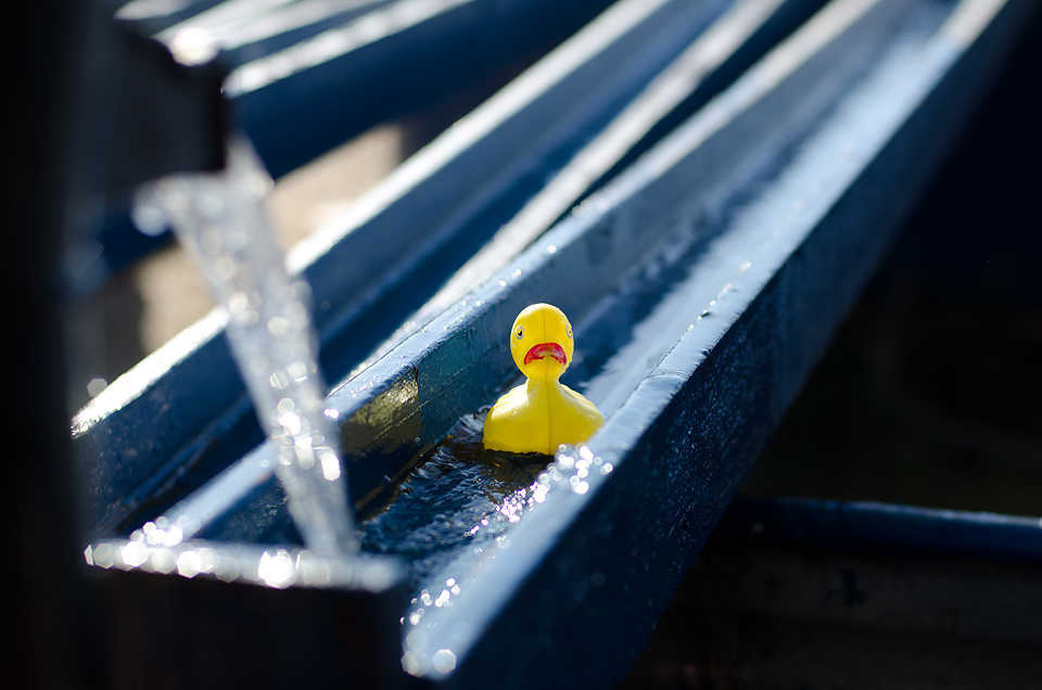 Tolmachoff Farms-46a