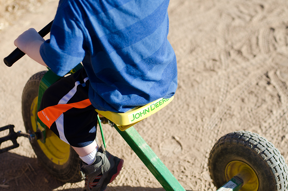 Tolmachoff Farms-51a