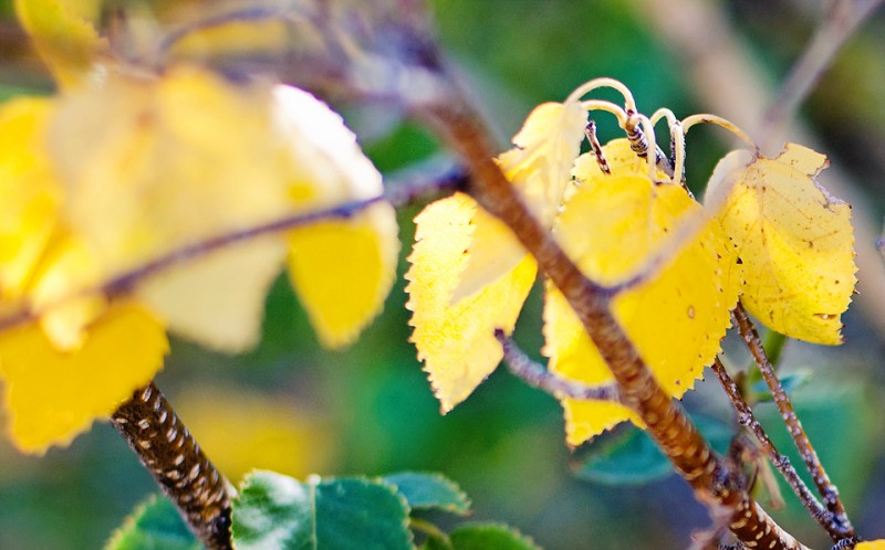 Kate Eschbach Photography-10a