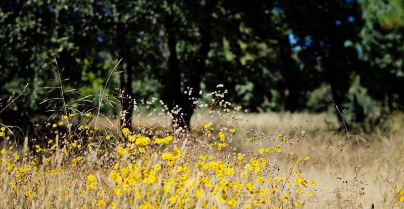 Kate Eschbach Photography-14a