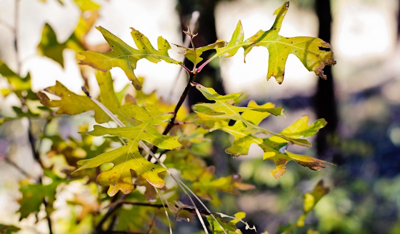 Kate Eschbach Photography-59a