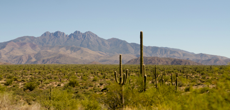 Kate Eschbach Photography-5a