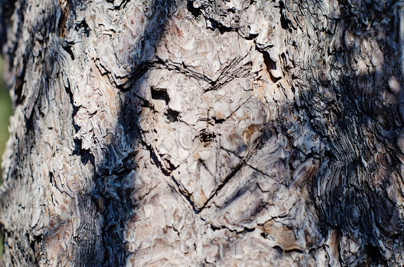 Kate Eschbach Photography-76a