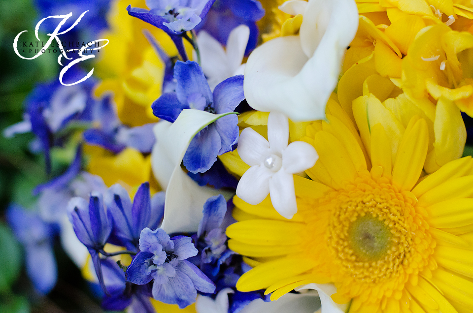 Kate Eschbach Photography-89ab