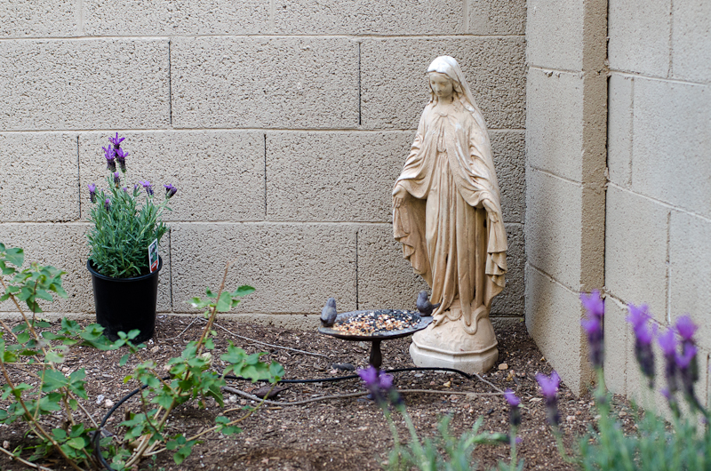 Kate Eschbach Photography-10