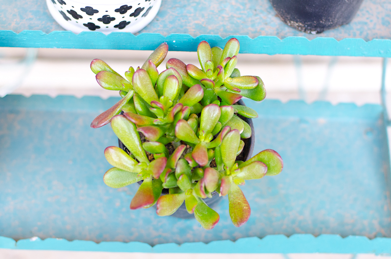 Kate Eschbach Photography-1