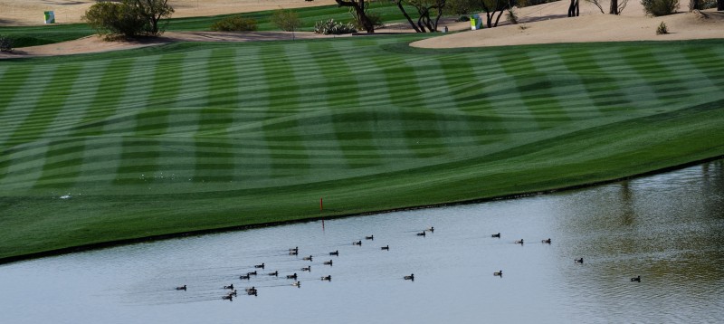 Kate Eschbach Photography -  Phoenix Open 2014-48