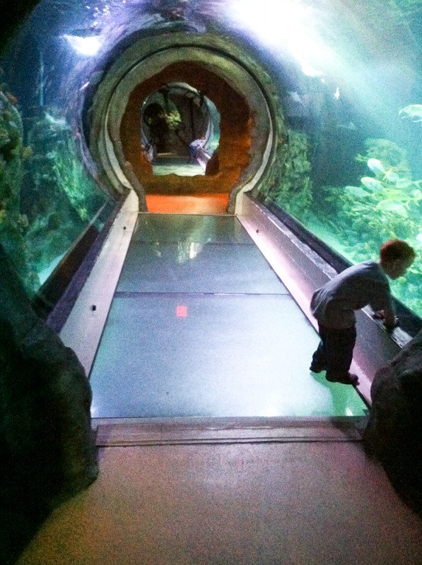 Kate Eschbach iPhone Photography-7