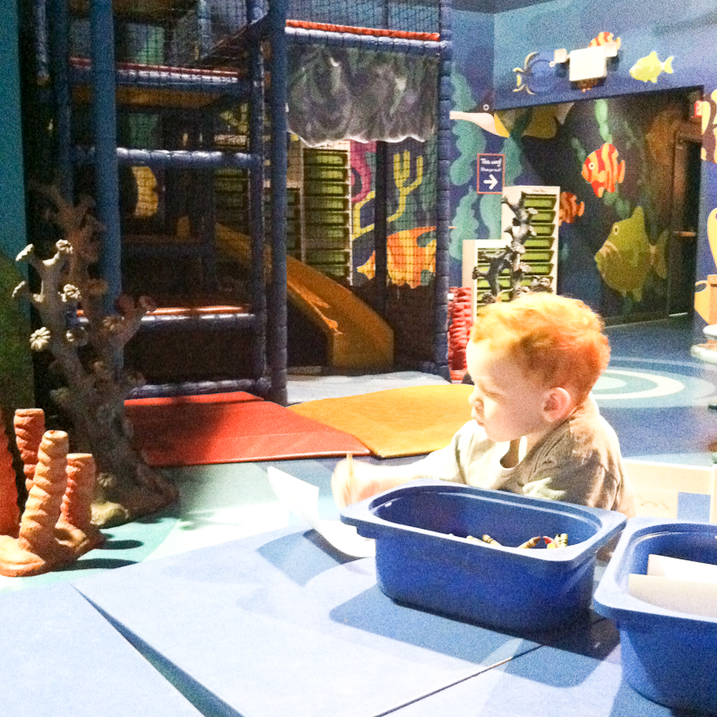 Kate Eschbach iPhone Photography-9