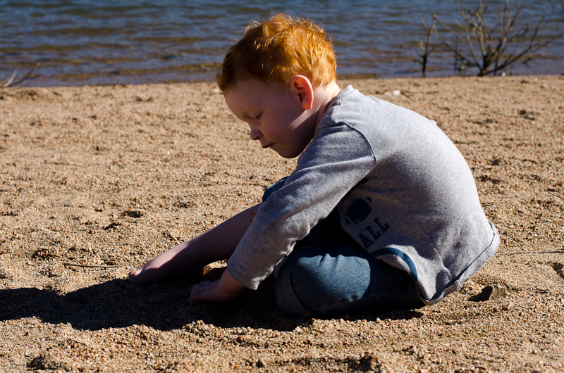 Rattlesnake Cove, Bartlett Lake, Arizona-11