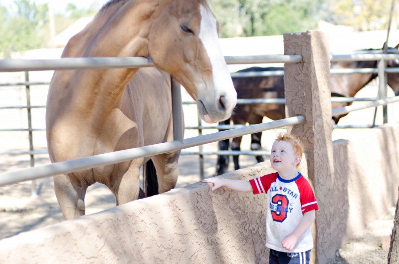 Kate Eschbach Photography-12jpga