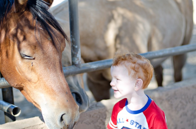 Kate Eschbach Photography-3jpga