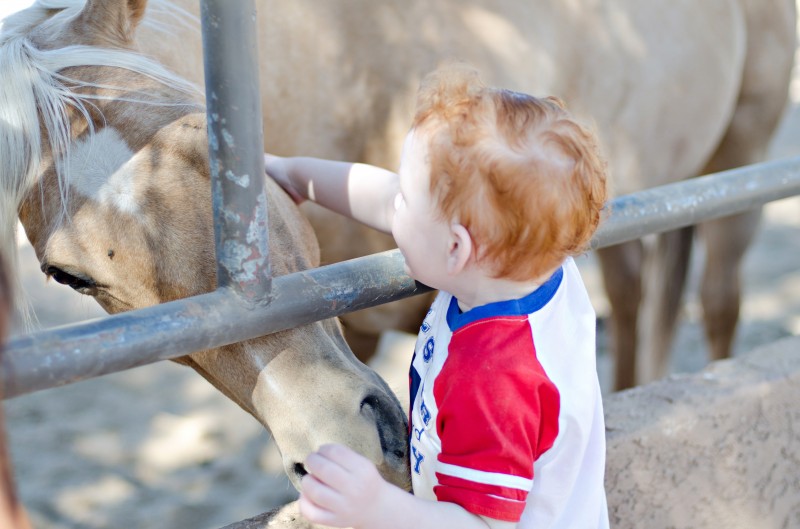 Kate Eschbach Photography-5jpga