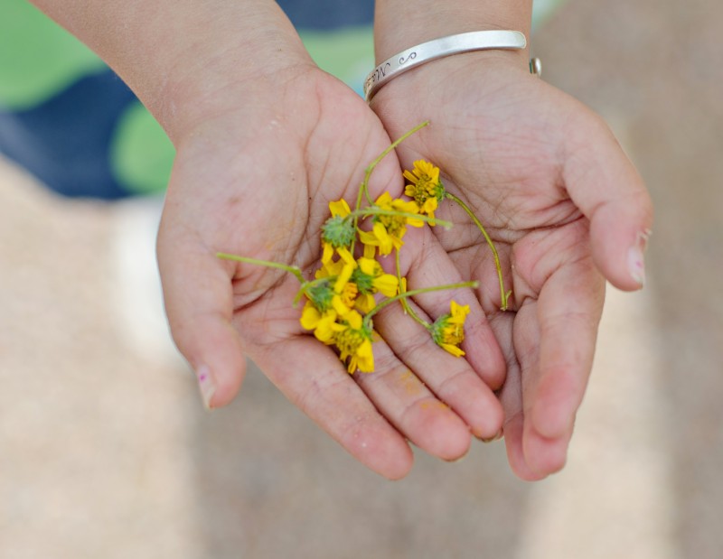 Kate Eschbach Photography-8jpga