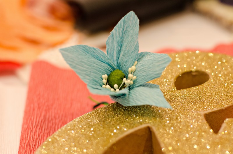 Kate Eschbach Photography-18jpga