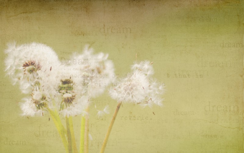 Kate Eschbach Photography-1a