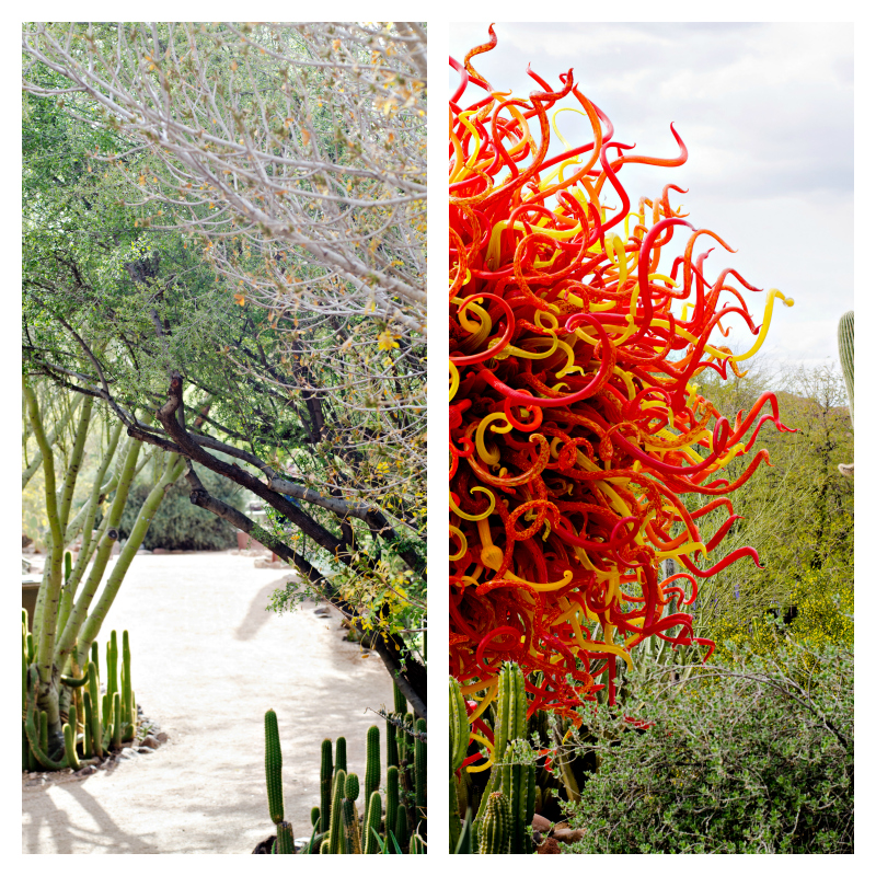 Kate Eschbach Photography-200 jpga