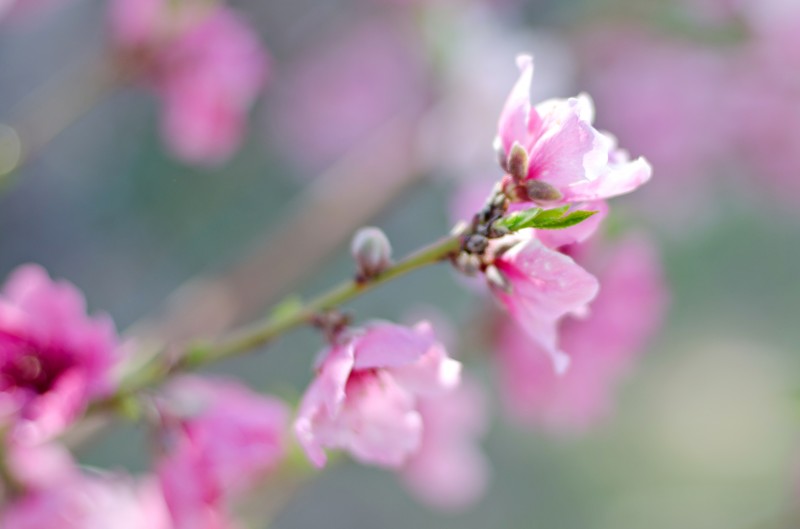 Kate Eschbach Photography-25jpga