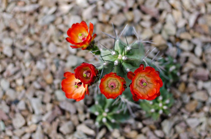 Kate Eschbach Photography-4jpga