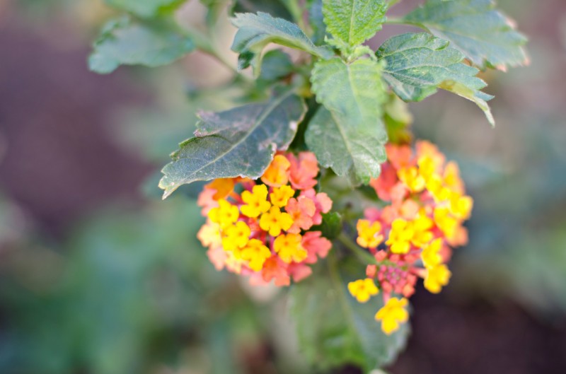 Kate Eschbach Photography-4jpga