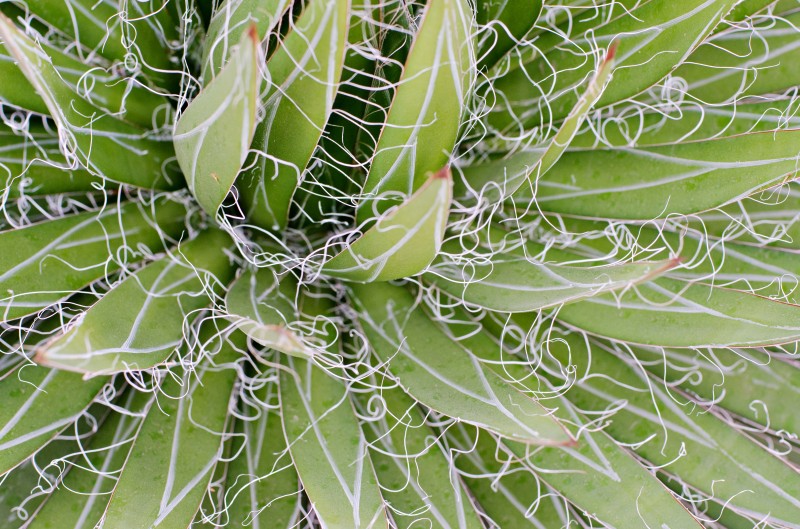 Kate Eschbach Photography-57jpga