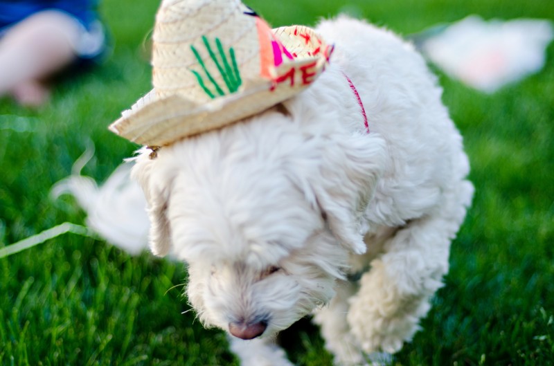 Kate Eschbach Photography-10jpga