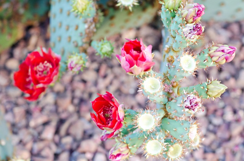 Kate Eschbach Photography-22jpga