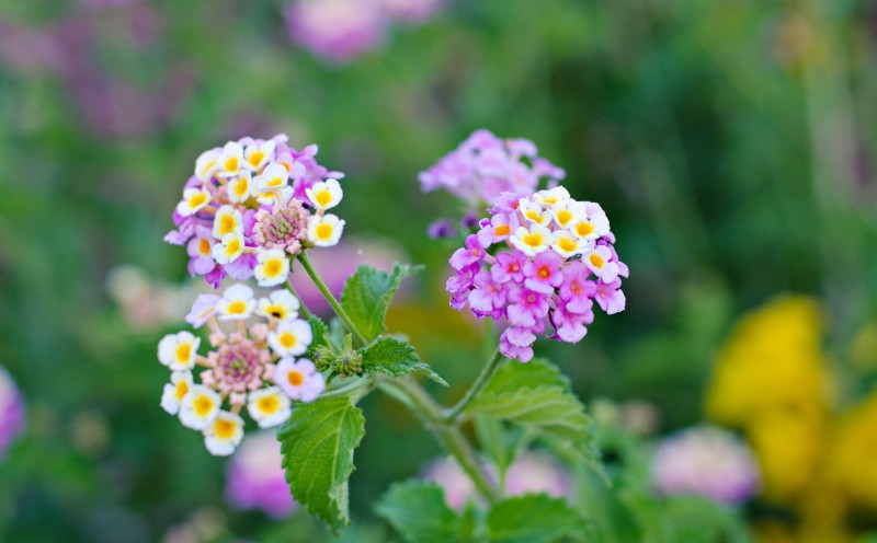 Kate Eschbach Photography-25jpga