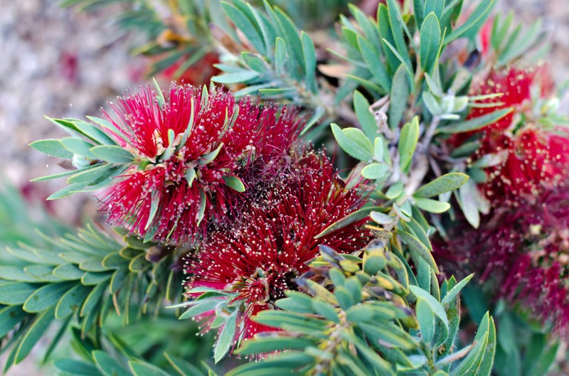 Kate Eschbach Photography-26jpga