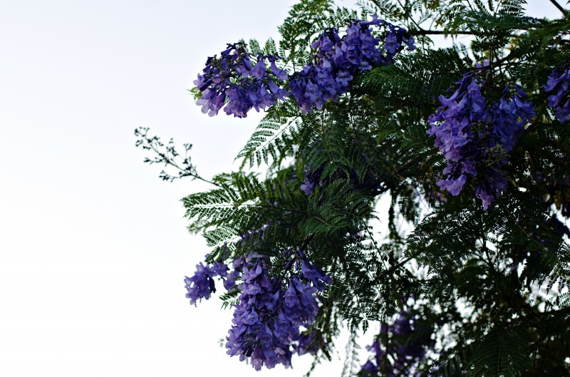 Kate Eschbach Photography-30jpga