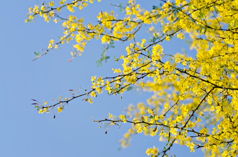 Kate Eschbach Photography-4jpga