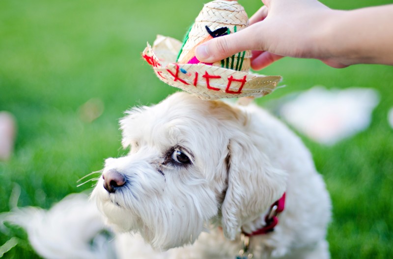 Kate Eschbach Photography-9jpga