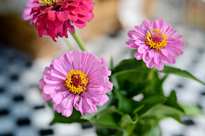 Kate Eschbach Photography-3a