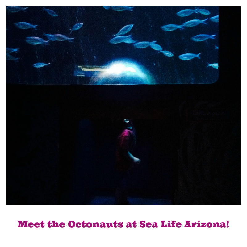 #Octonauts Event at #SeaLifeAZ