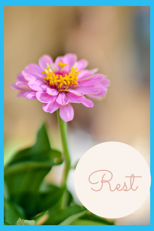 Untitled design (12)