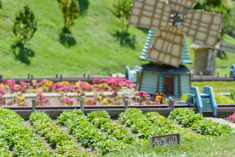 Kate Eschbach Photography-10