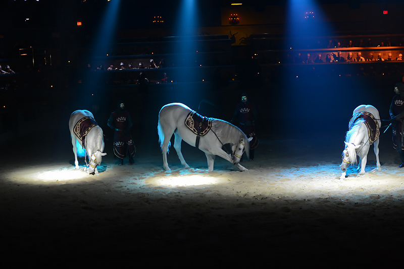 Kate Eschbach Photography-20fb