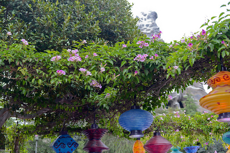 Kate Eschbach Photography-3FB