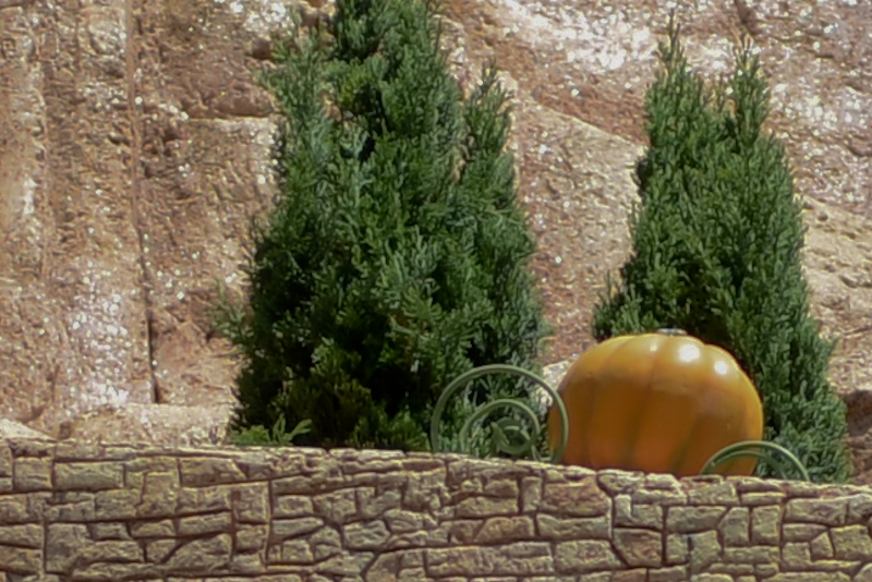 Kate Eschbach Photography-5