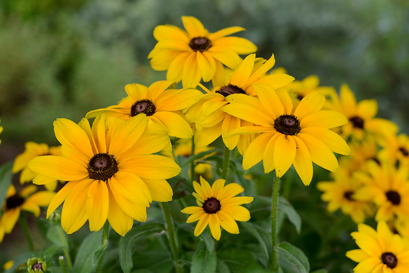 Kate Eschbach Photography-5FB