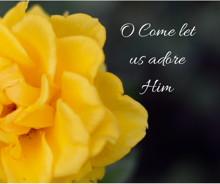 O Come let us adore Him