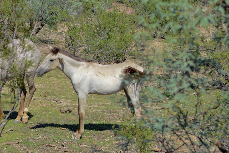 Kate Eschbach Photography-1fb