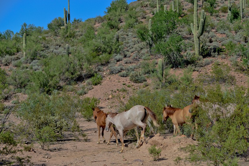 Kate Eschbach Photography-2fb