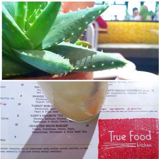 Fox Restaurants, Tru Foods