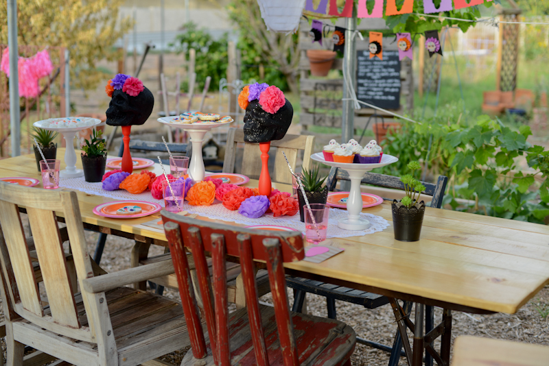 Kate Eschbach Photography-33