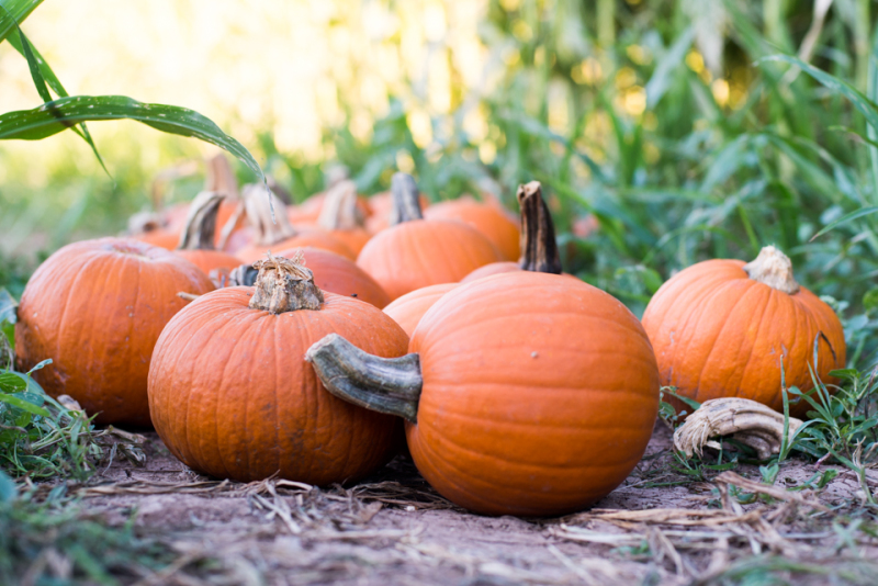 Kate Eschbach Photography-507