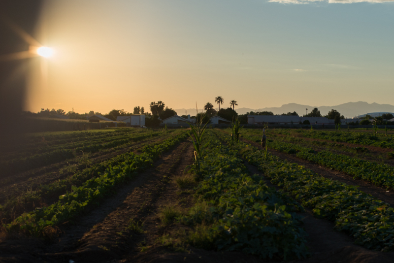 Kate Eschbach Photography-508