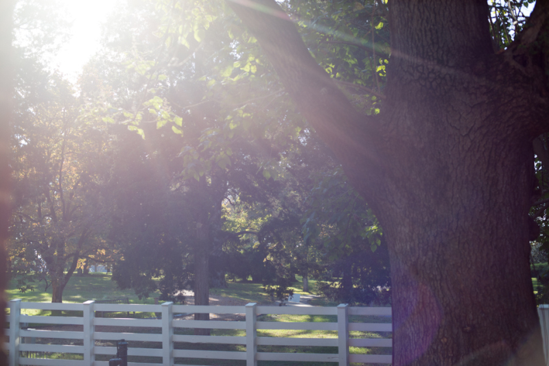 Kate Eschbach Photography-6