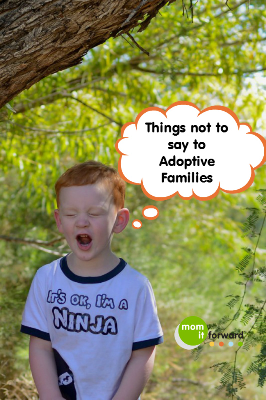 Things-You-Dont-Say-to-Adoptive-Mothers-2