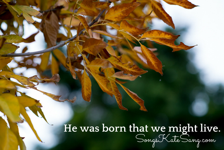 He was born that we might have life (1)